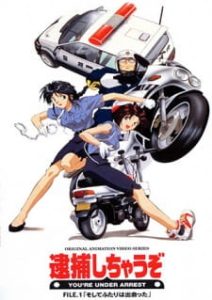 You’re Under Arrest (Dub)