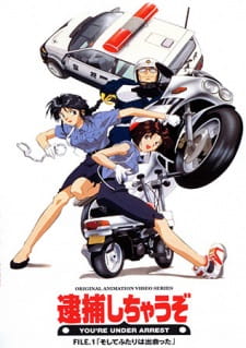 You’re Under Arrest (Dub)