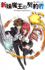 The Testament of Sister New Devil OVA (Dub)