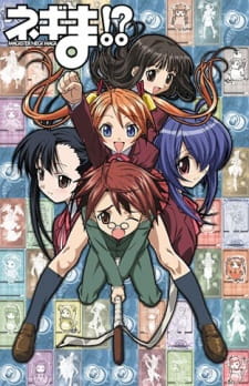 Negima!? (Dub)