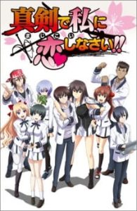 Majikoi: Oh! Samurai Girls (Dub)