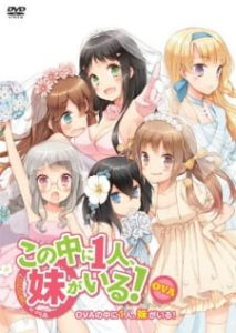 Kono Naka ni Hitori, Imouto ga Iru!: Ani, Imouto, Koibito (Dub)