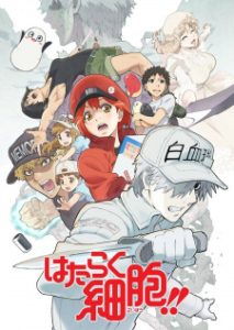 Cells at Work! 2nd Season (Dub)