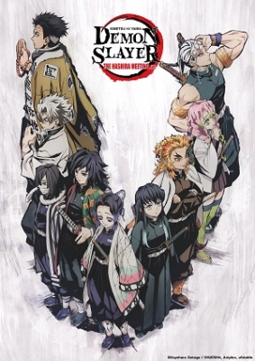 Demon Slayer: The Hashira Meeting Arc (Dub)